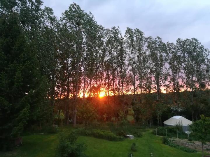 La Yourte Au Fonds Du Jardin Xhoris Exteriör bild